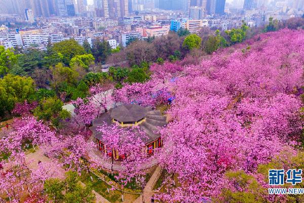炒包菜絲怎么做好吃