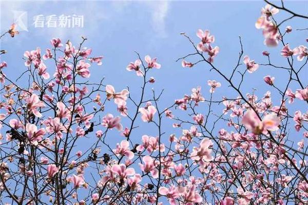 今天是你的生日歌曲原唱